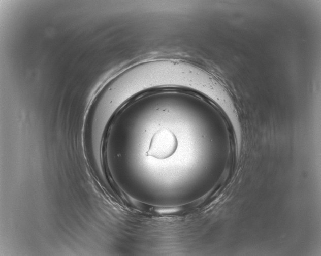 X0000061150340200511181240