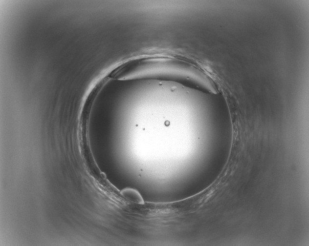 X0000061150342200511181240