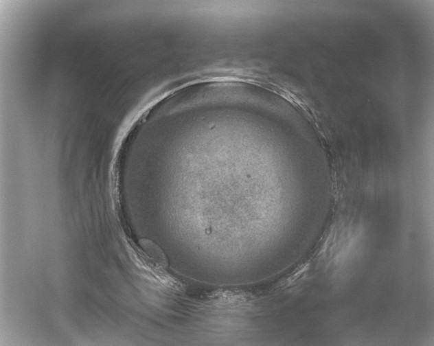 X0000061150343200511181240