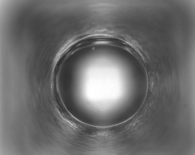 X0000061150344200511181240