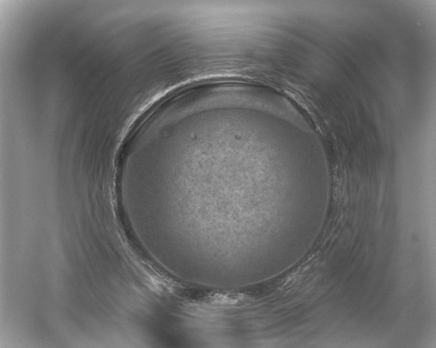 X0000061150346200511181240