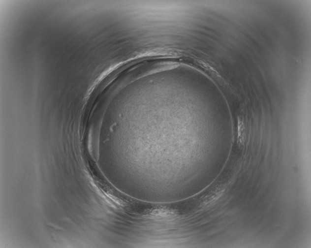 X0000061150348200511181240