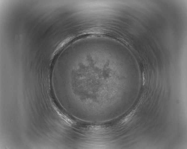 X0000061150349200511181240