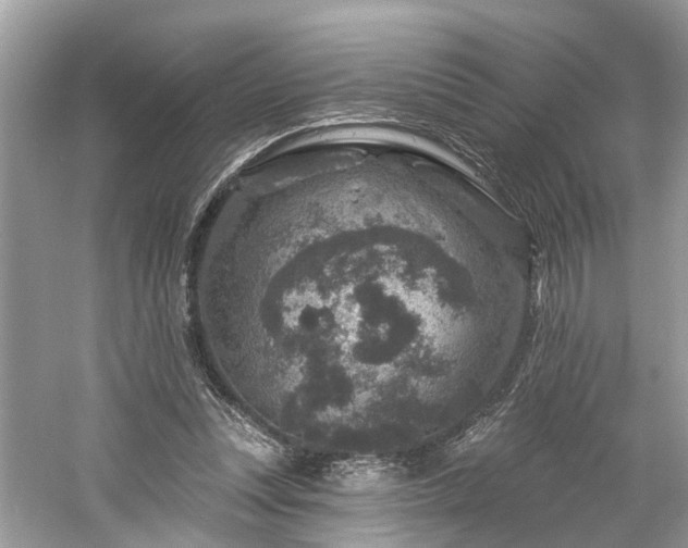 X0000061150351200511181240