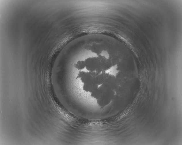 X0000061150353200511181240