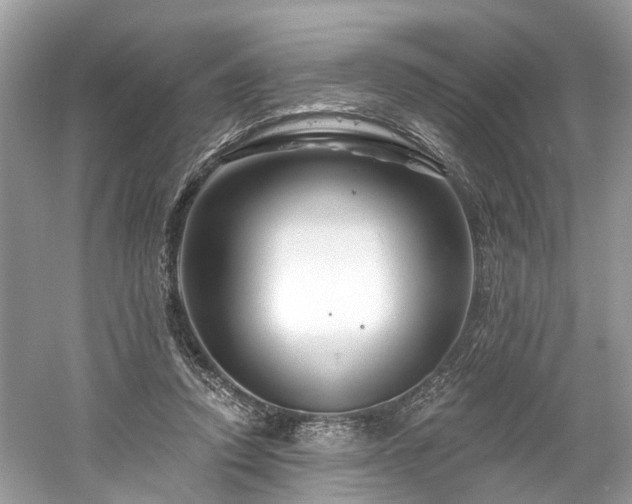 X0000061150354200511181240