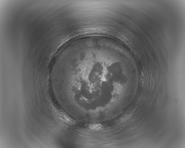 X0000061150355200511181240