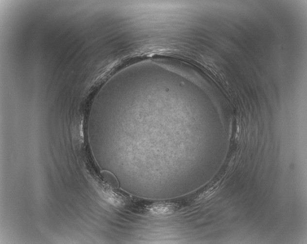 X0000061150358200511181240