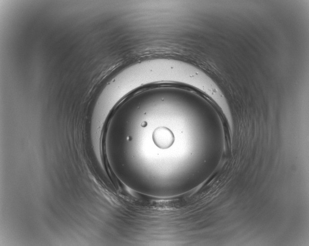 X0000061150360200511181240