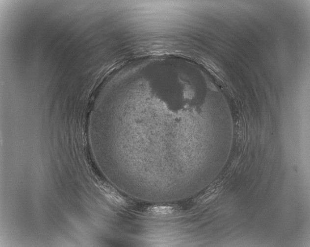 X0000061150361200511181240