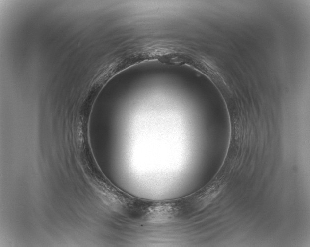 X0000061150362200511181240