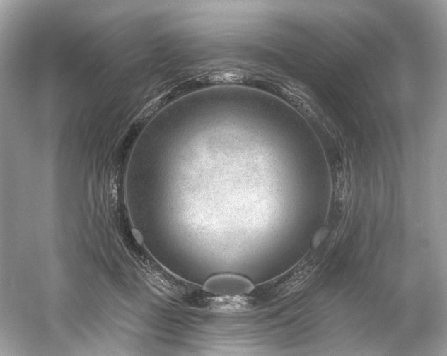 X0000061150363200511181240