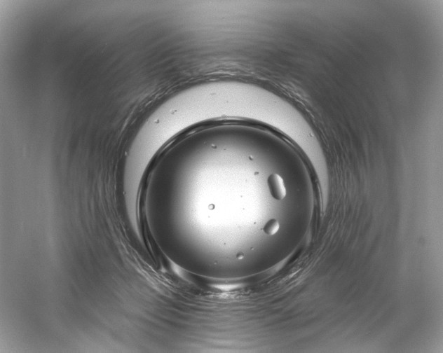 X0000061150365200511181240