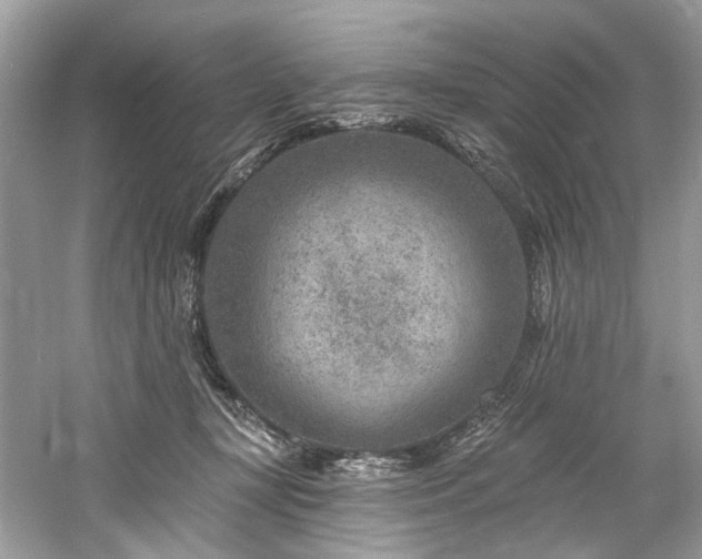 X0000061150367200511181240