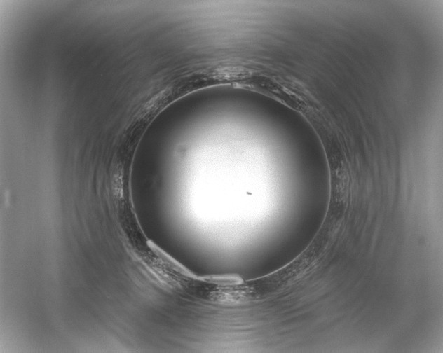 X0000061150368200511181240