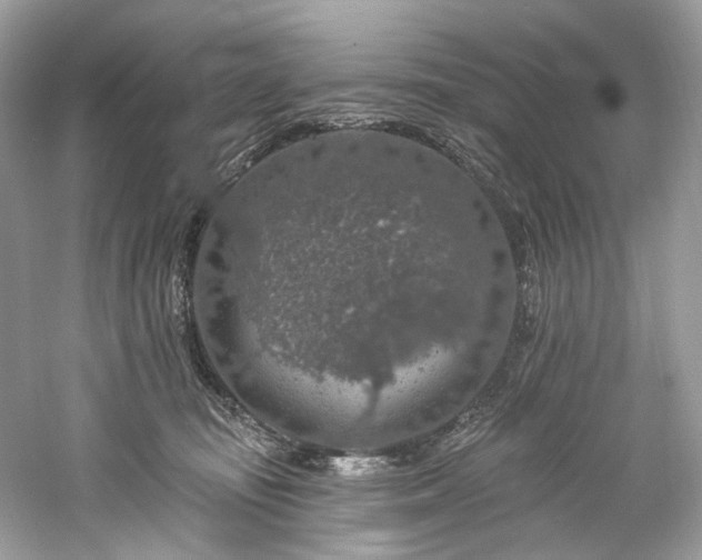 X0000061150371200511181240