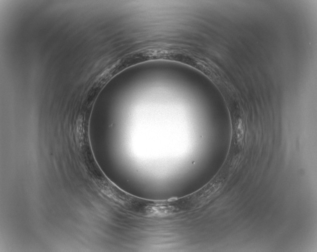 X0000061150372200511181240