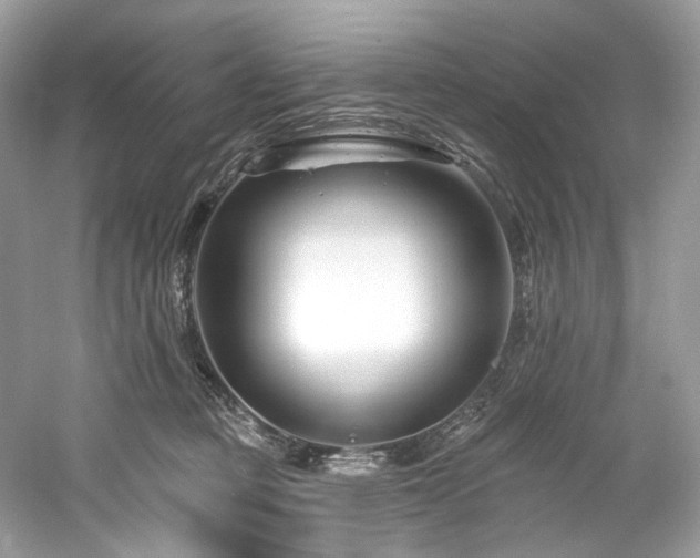 X0000061150373200511181240