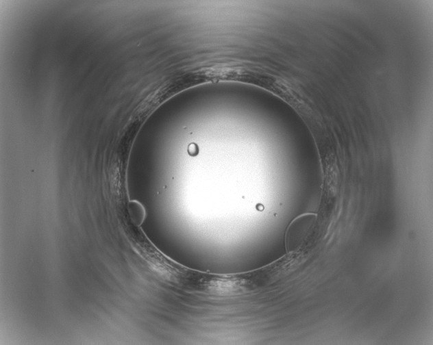 X0000061150375200511181241