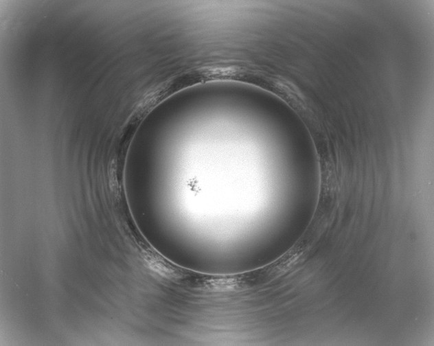 X0000061150377200511181241