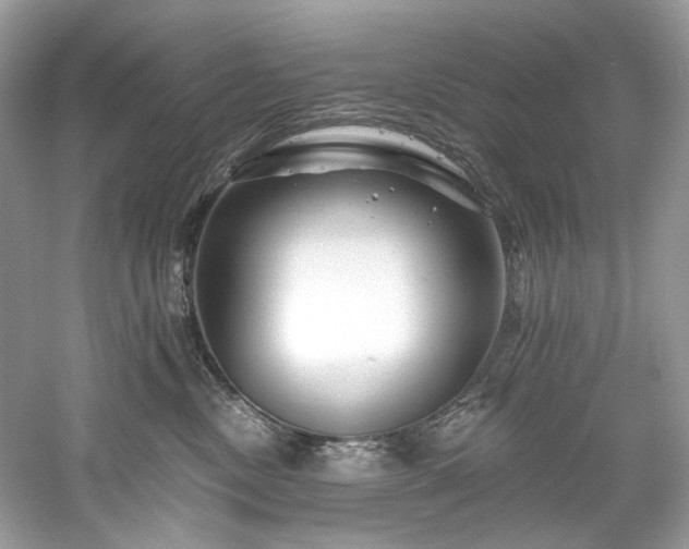 X0000061150378200511181241