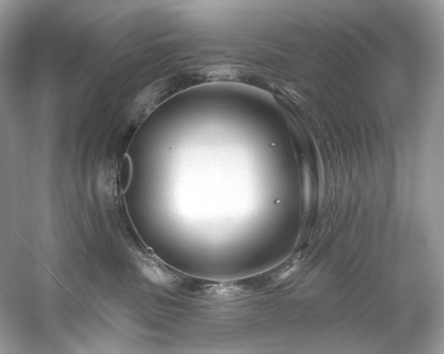 X0000061150379200511181241