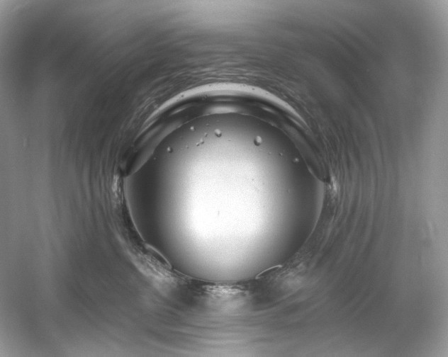 X0000061150380200511181241