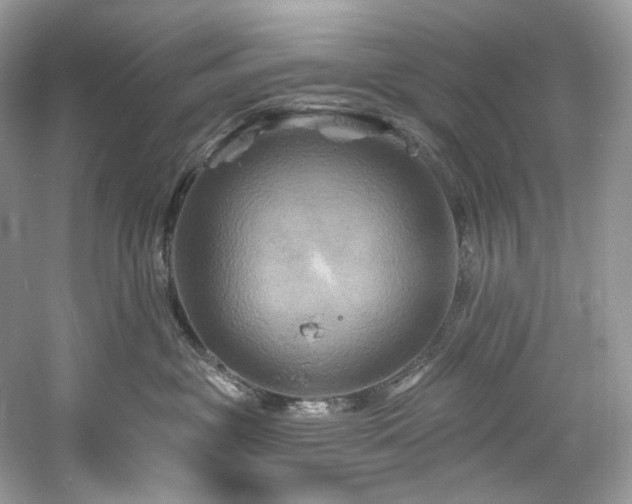 X0000061150381200511181241