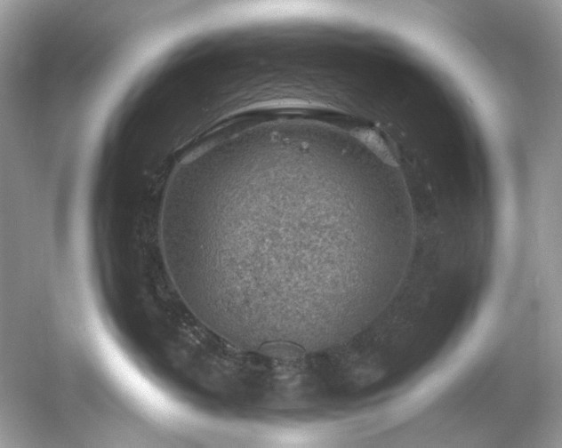 X0000061150382200511181241