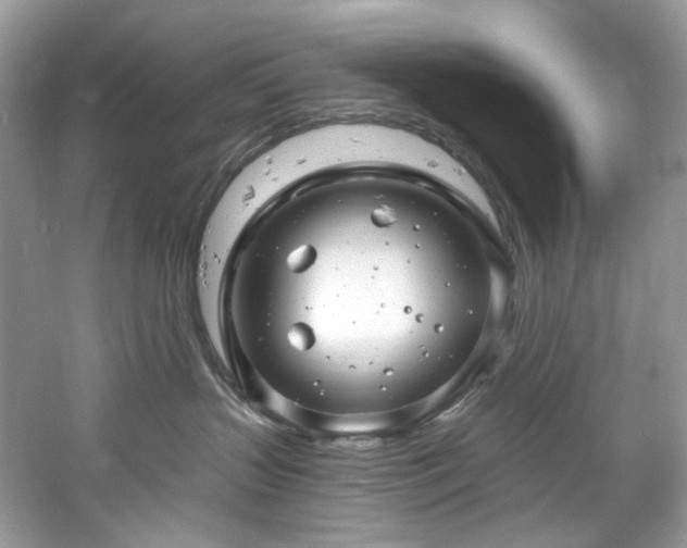 X0000061150383200511181241