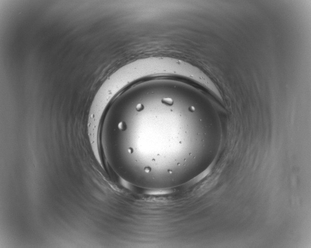 X0000061150384200511181241