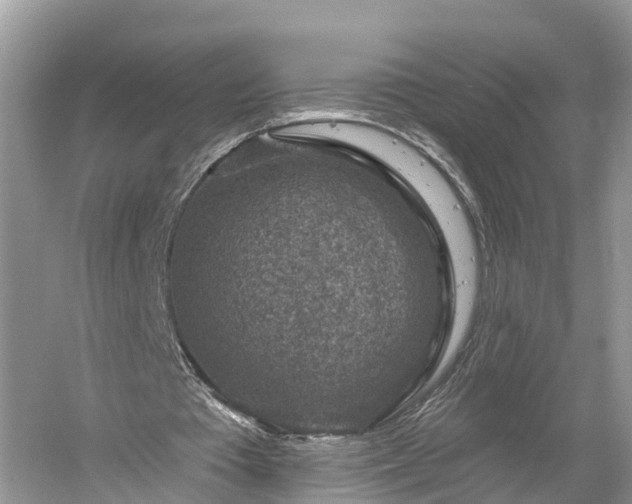 X0000061150385200511181240