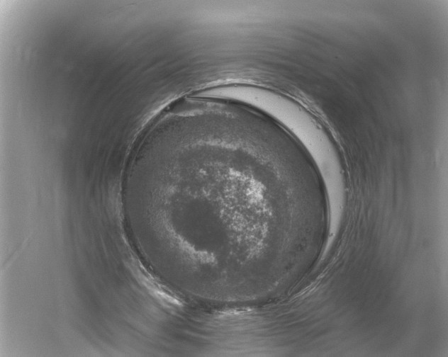 X0000061150386200511181240