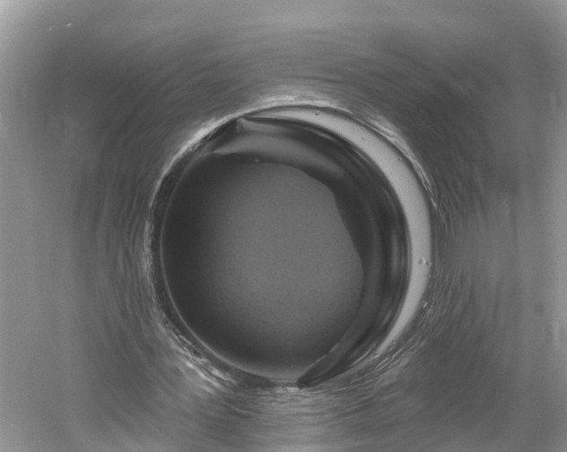 X0000061150387200511181240