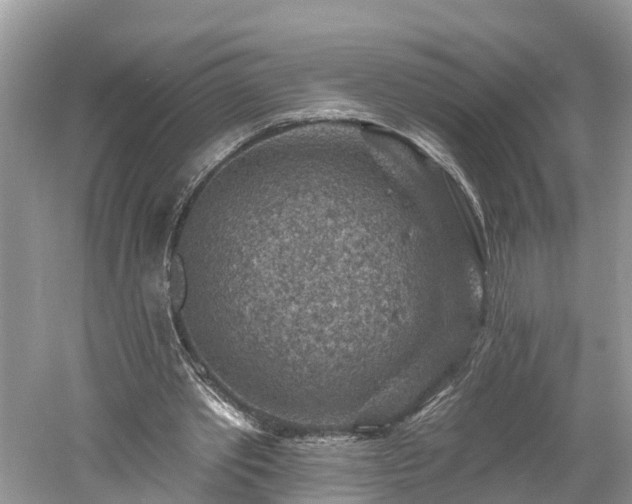 X0000061150389200511181240