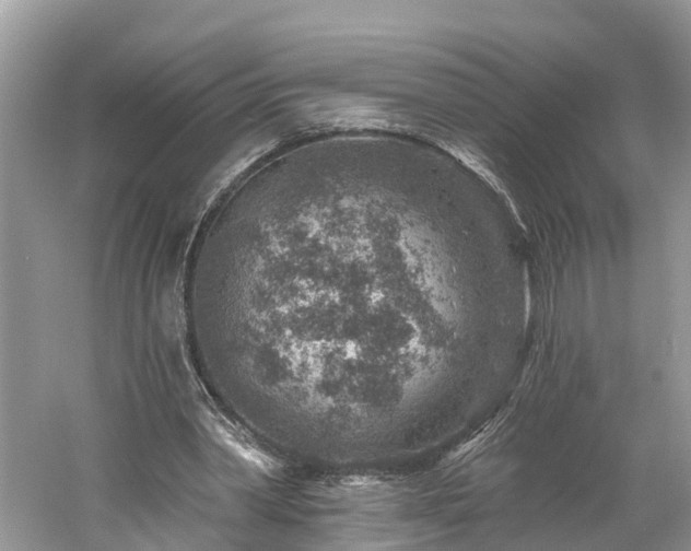 X0000061150390200511181240