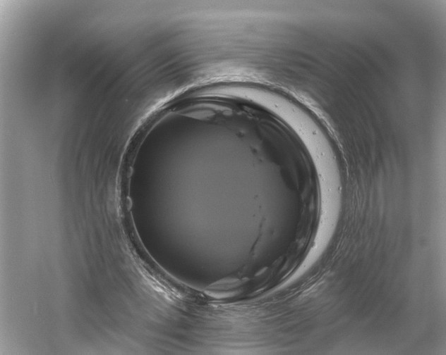 X0000061150391200511181240