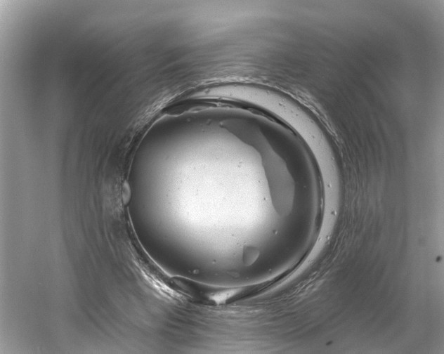 X0000061150393200511181240