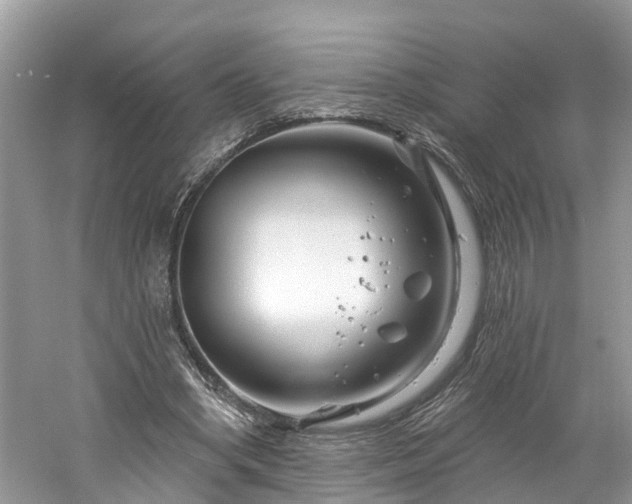 X0000061150394200511181240