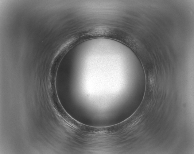 X0000061150396200511181240