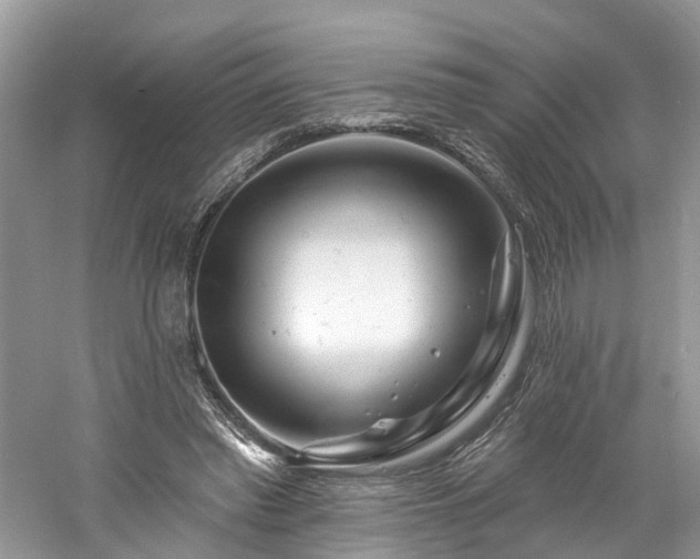 X0000061150397200511181240