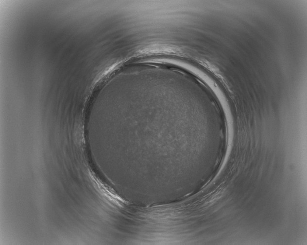 X0000061150399200511181240