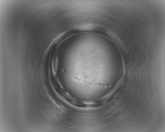 X0000061150400200511181240