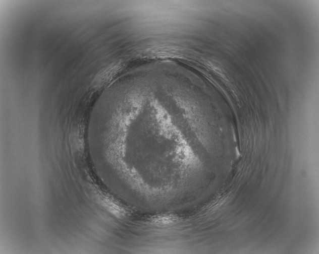 X0000061150402200511181240