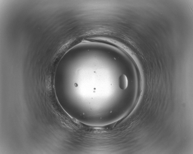 X0000061150403200511181240