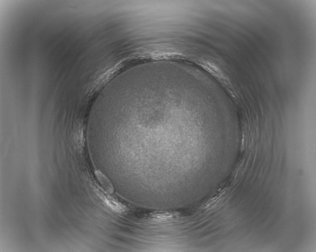 X0000061150405200511181239