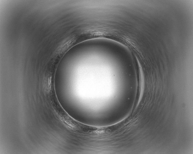 X0000061150406200511181239