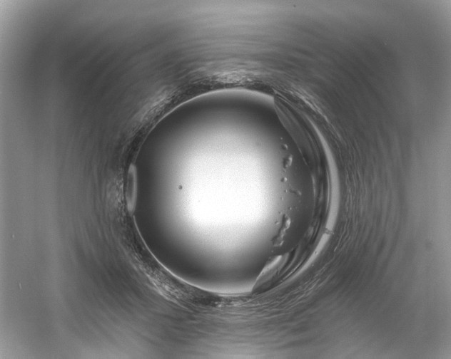 X0000061150407200511181239