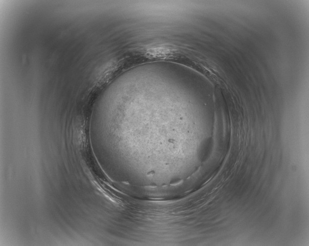 X0000061150408200511181239