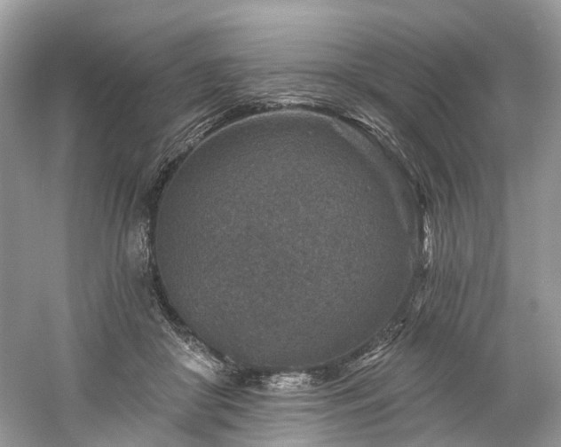 X0000061150410200511181239